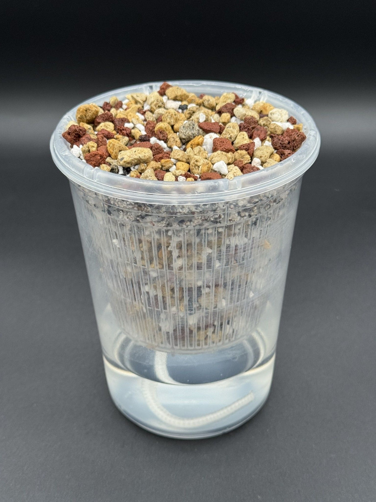 4" semi-hydro self-watering kit with 3D-printed PETG Geo Twist cover planter
