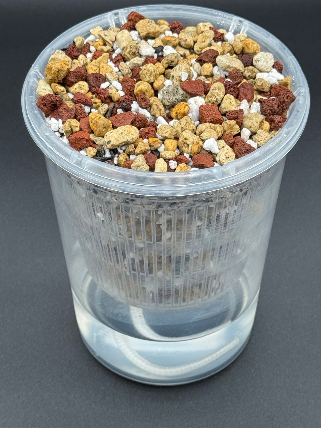 4" semi-hydro self-watering kit with 3D-printed PETG Textured cover planter – Coral / Clear