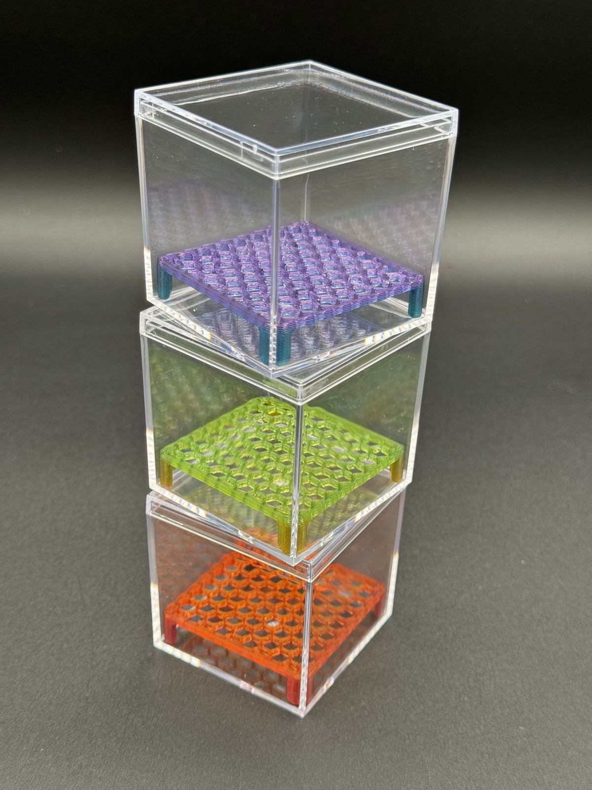 Corm Condo: 2" clear acrylic cube with lid and printed honeycomb riser