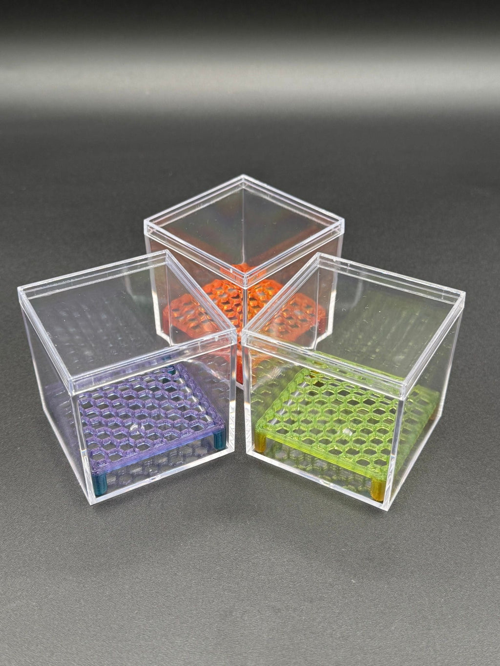 Corm Condo: 2" clear acrylic cube with lid and printed honeycomb riser – Single