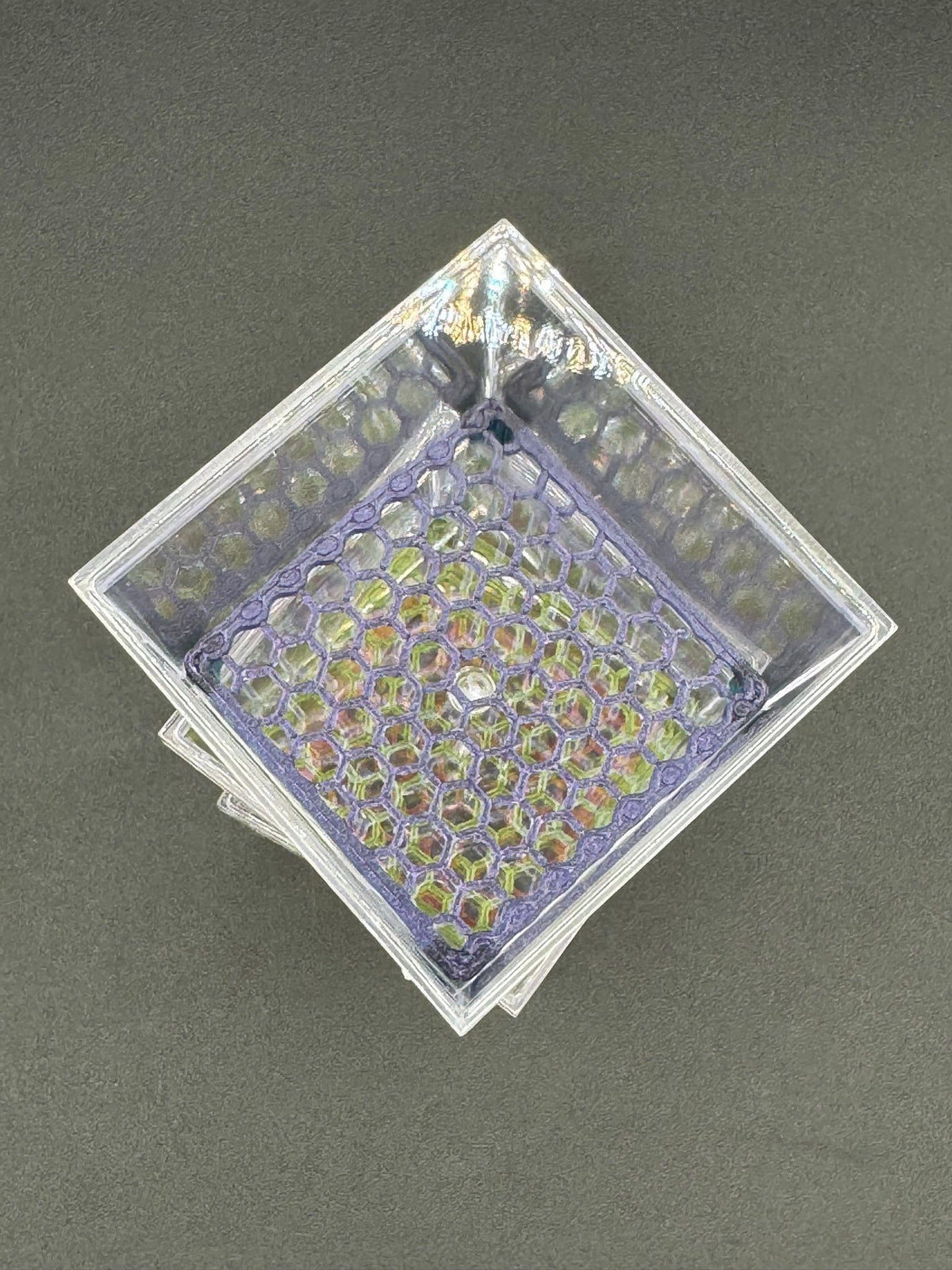 Corm Condo: 2" clear acrylic cube with lid and printed honeycomb riser – Single