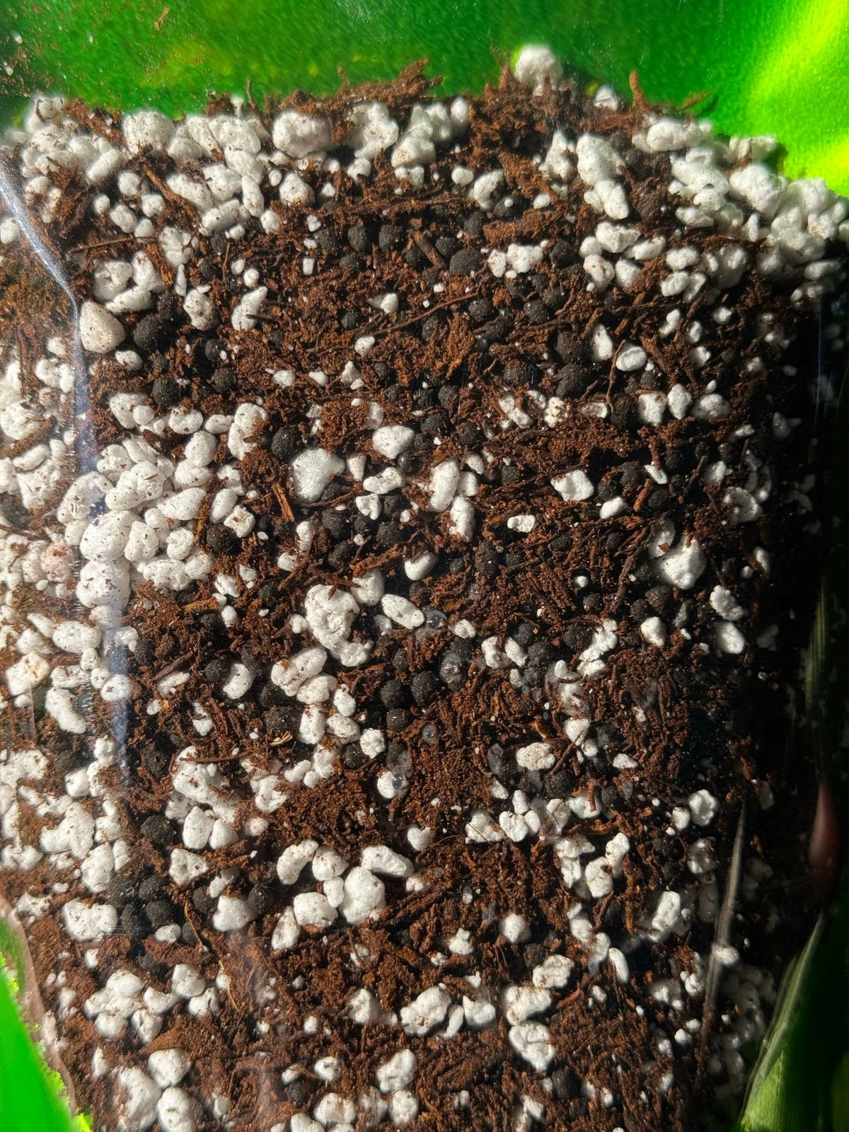 Propagation Trop Mix rooting media