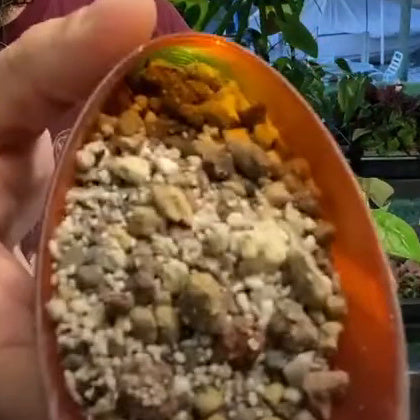 Semi-Hydro Trop Mix – close-up in scoop
