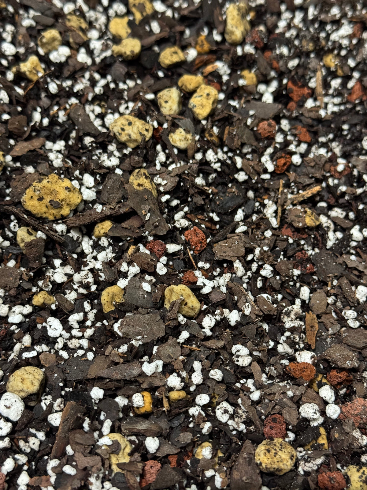 Aroid Trop Mix soil blend